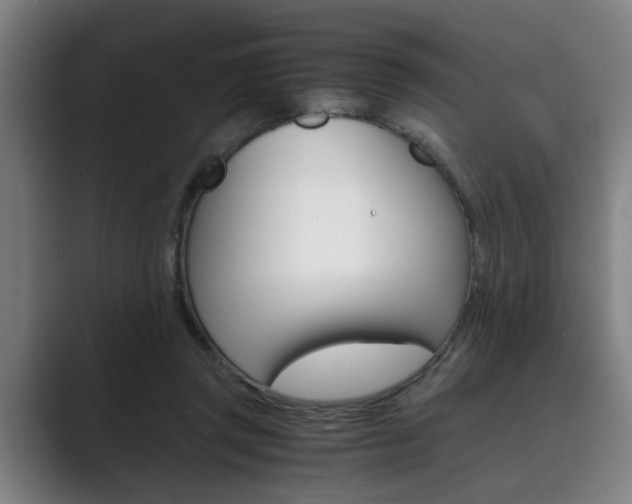 X0000089930357200706290800