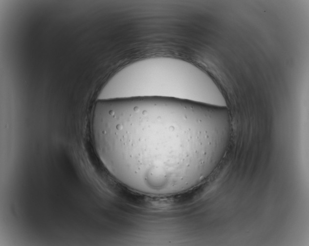 X0000089930359200706290800