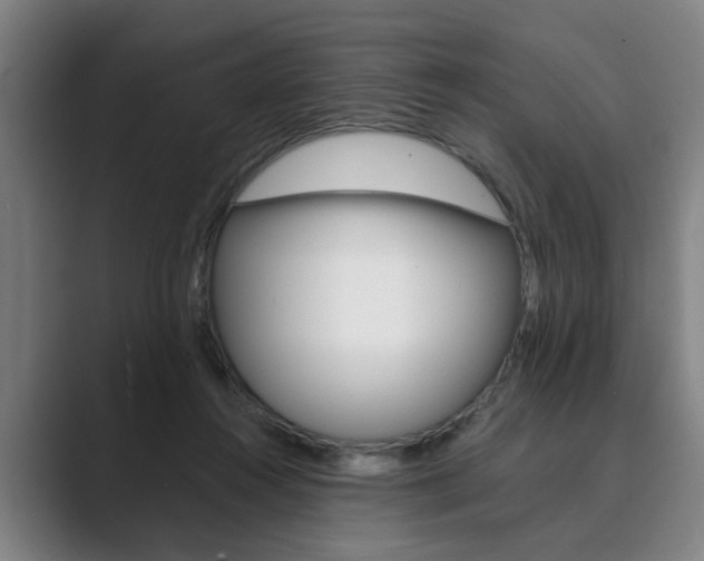 X0000089930360200706290800