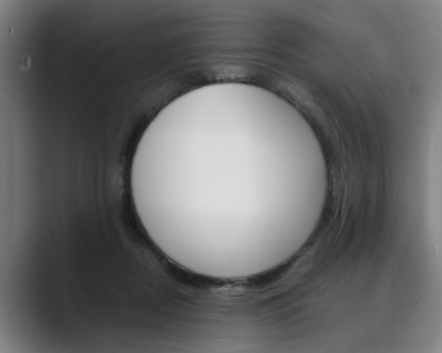 X0000089930362200706290800
