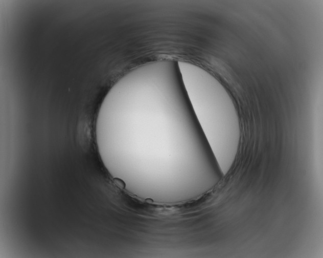 X0000089930363200706290800