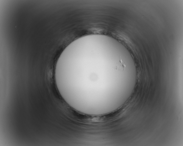 X0000089930365200706290800