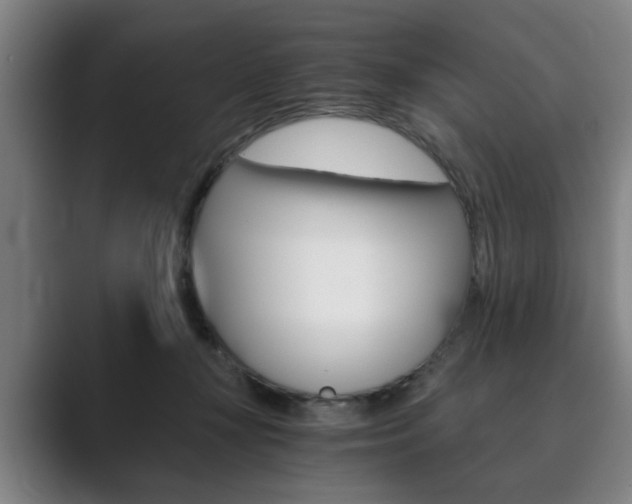 X0000089930367200706290800