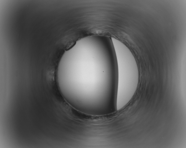 X0000089930368200706290800