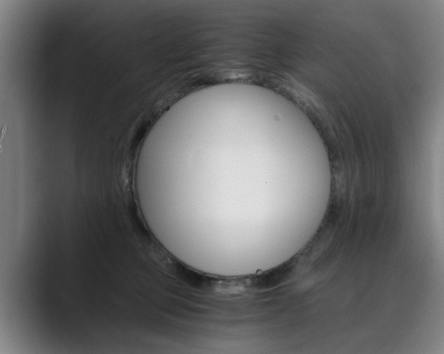 X0000089930373200706290800