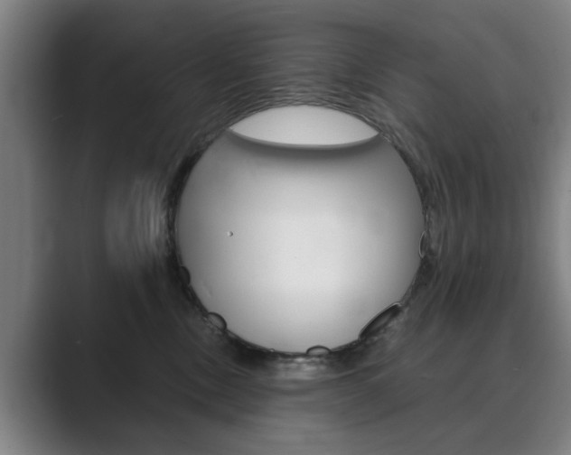 X0000089930378200706290800