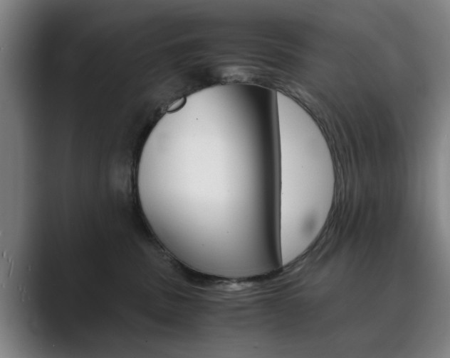 X0000089930379200706290800