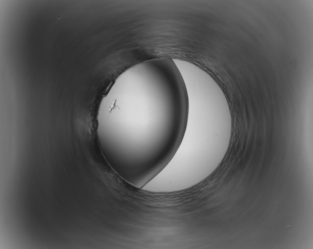 X0000089930380200706290800