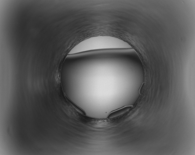 X0000089930384200706290800