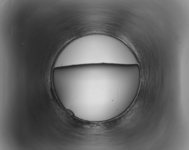 X0000089930386200706290800