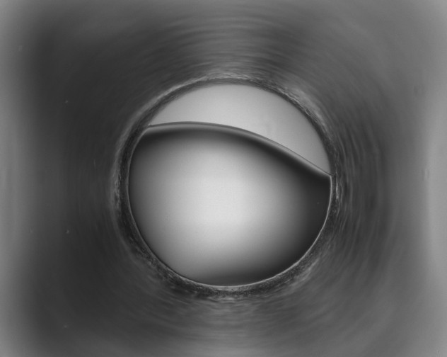 X0000089930388200706290800