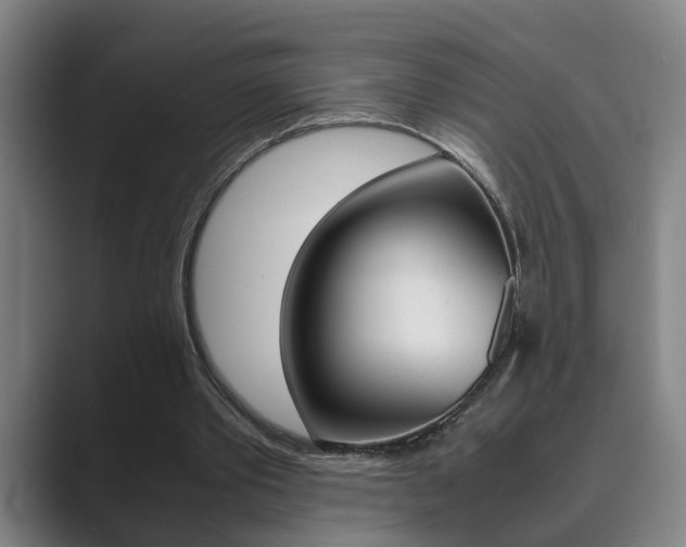 X0000089930389200706290800