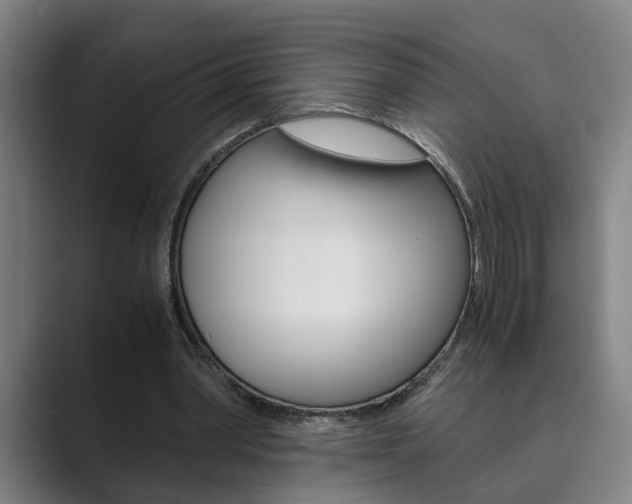 X0000089930390200706290800