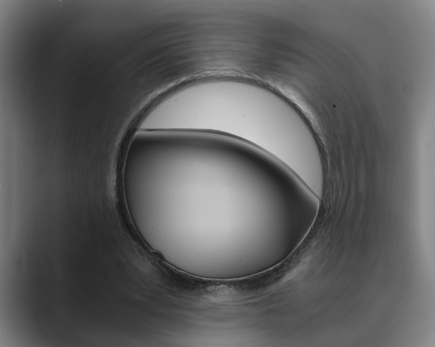X0000089930391200706290800