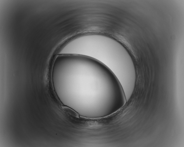 X0000089930392200706290800