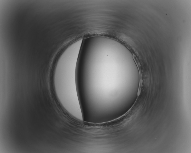 X0000089930395200706290759