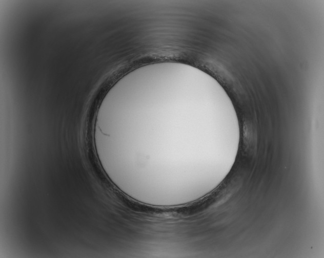 X0000089930396200706290759