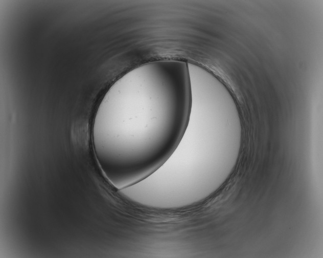 X0000089930397200706290759