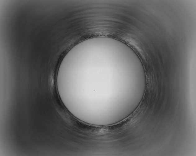 X0000089930398200706290759