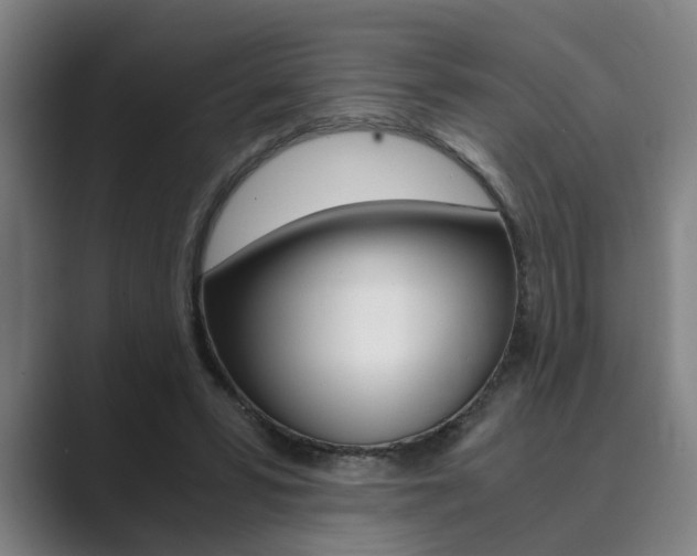 X0000089930399200706290759