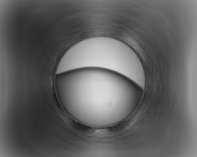 X0000089930401200706290759