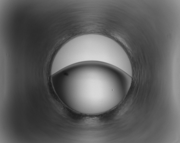 X0000089930403200706290759
