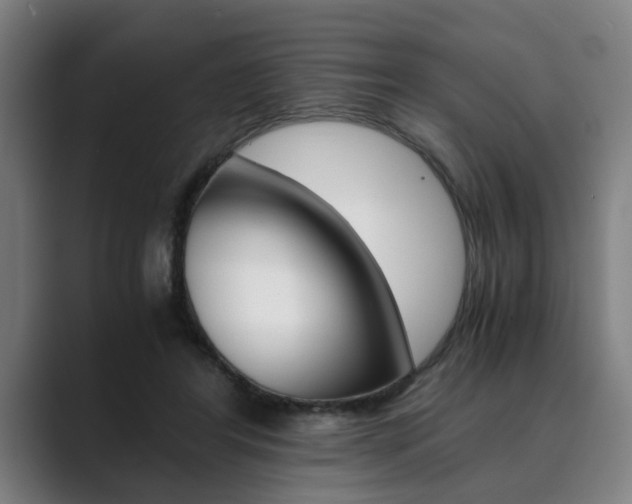 X0000089930404200706290759