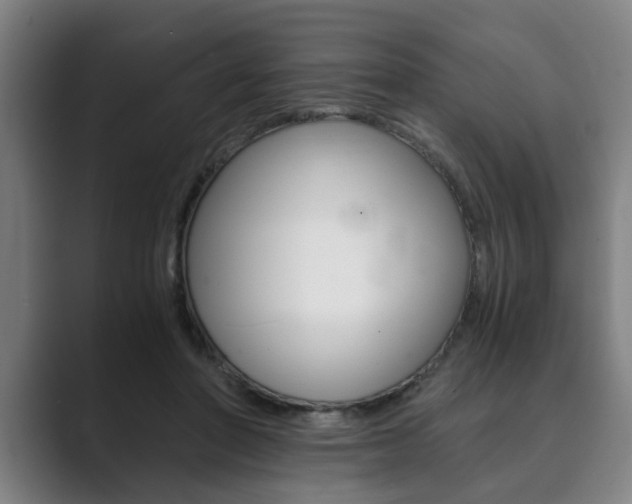 X0000089930406200706290759
