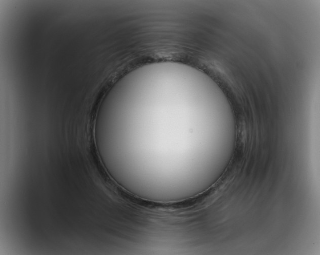 X0000089930408200706290759