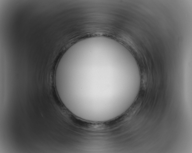 X0000089930410200706290759