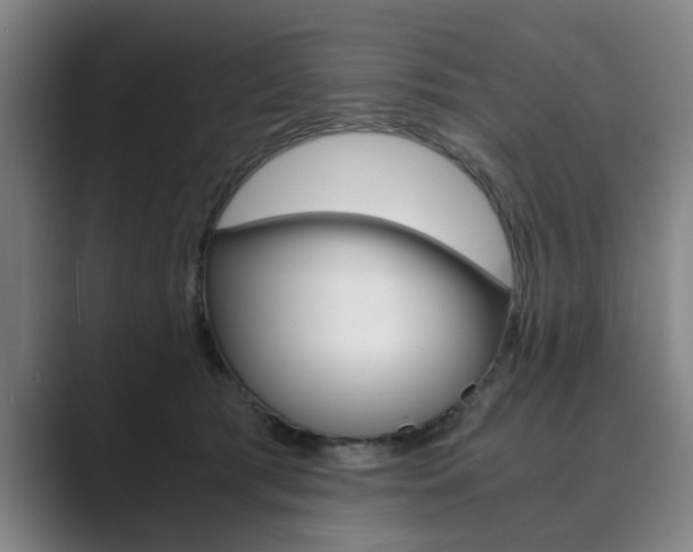 X0000089930417200706290759