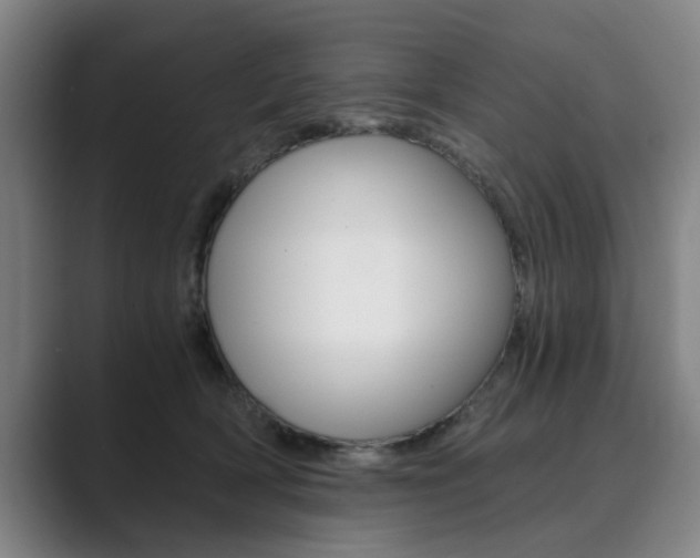 X0000089930418200706290759