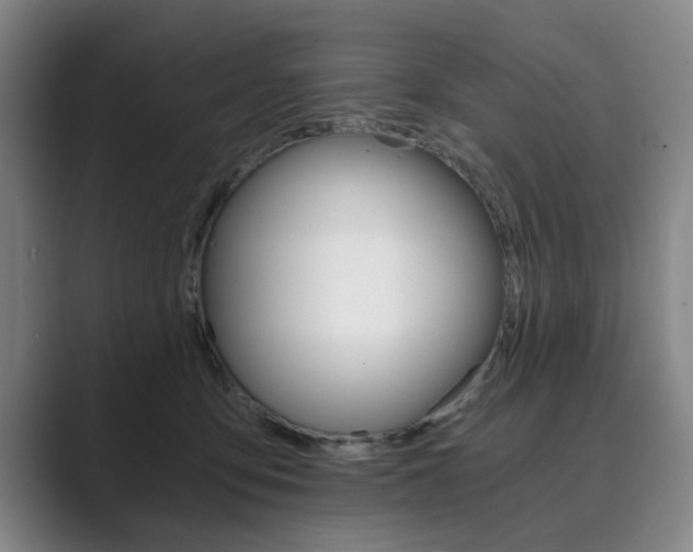X0000089930419200706290759