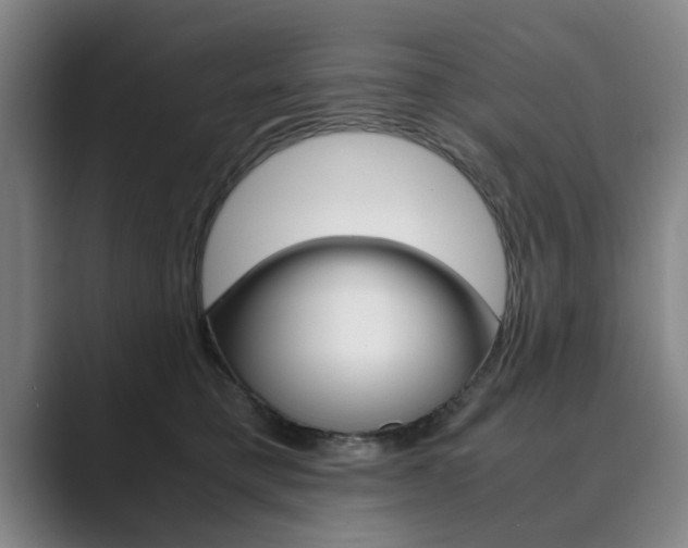 X0000089930421200706290759