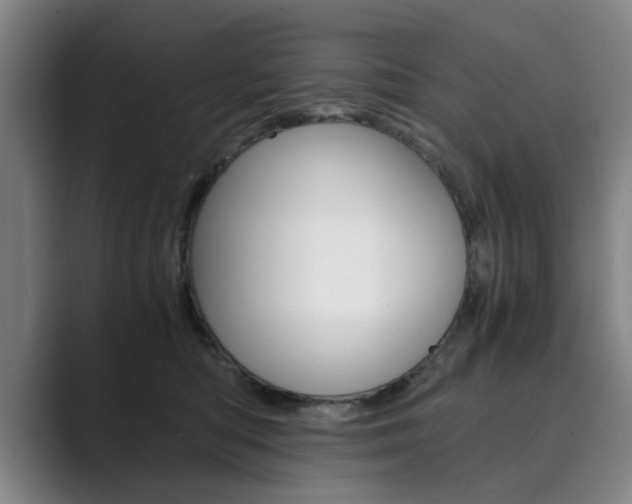 X0000089930422200706290759