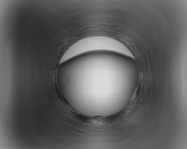 X0000089930423200706290759