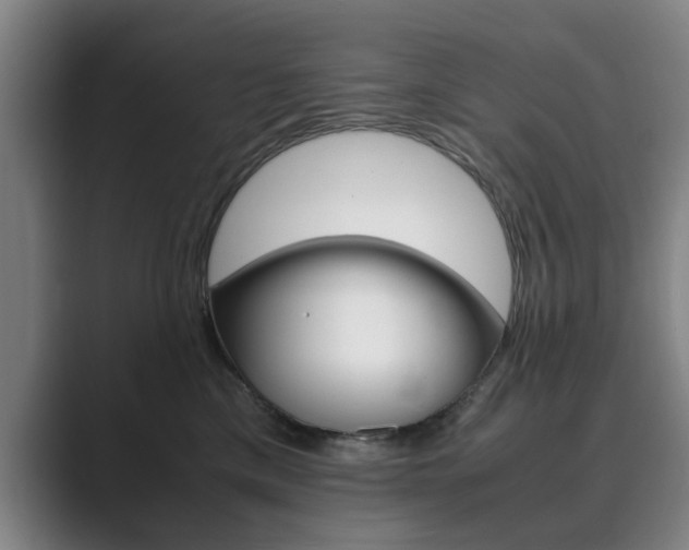 X0000089930425200706290759