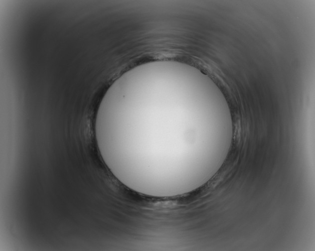 X0000089930426200706290759