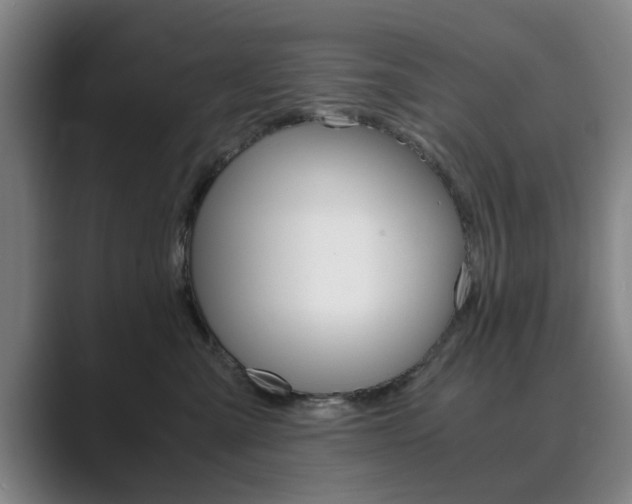 X0000089930427200706290759