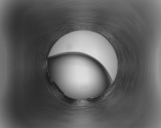 X0000089930429200706290759