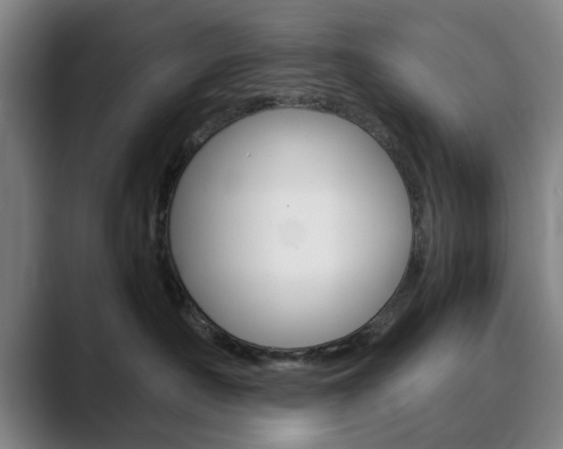 X0000089930430200706290759
