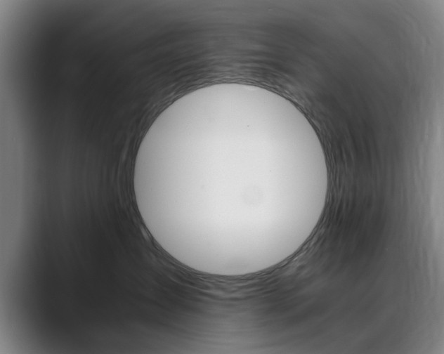 X0000089930431200706290759
