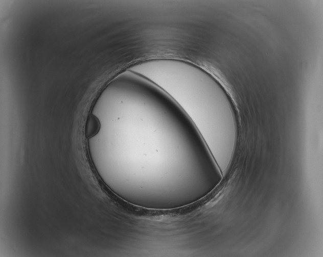 X0000089930433200706290758
