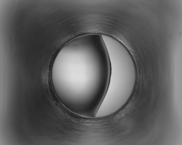 X0000089930434200706290758