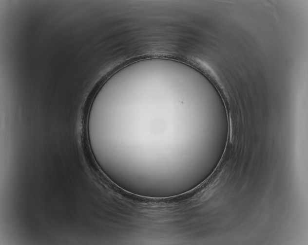X0000089930435200706290758