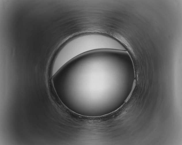 X0000089930436200706290758