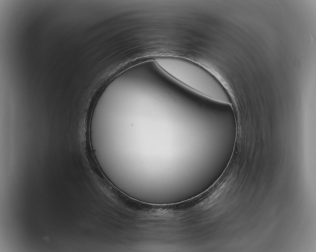 X0000089930437200706290758