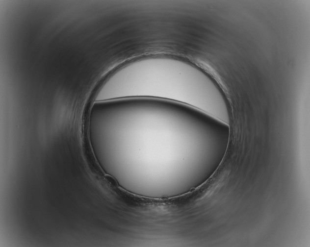 X0000089930439200706290758