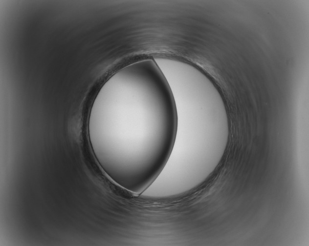 X0000089930440200706290758