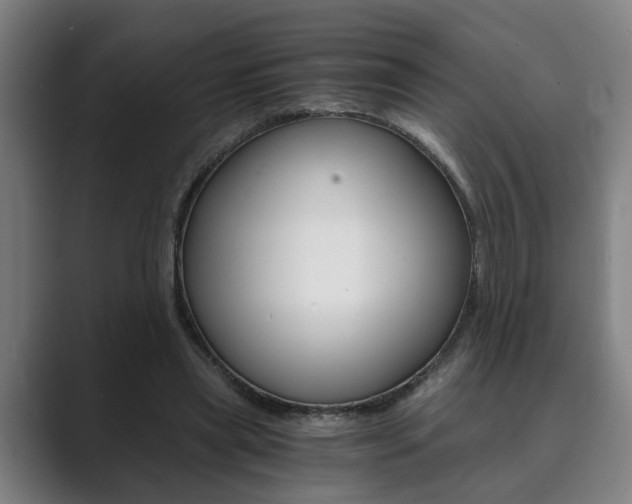 X0000089930445200706290759